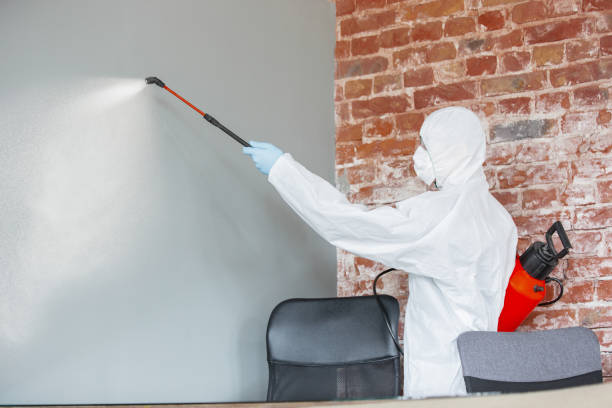 Best Mold Documentation for Insurance Claims  in Vernonia, OR