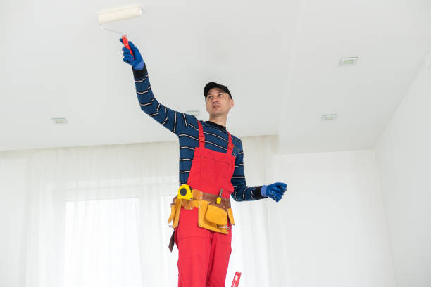 Mold Documentation for Insurance Claims in Vernonia, OR