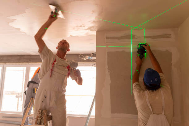 Best Environmental Consulting for Mold Prevention  in Vernonia, OR