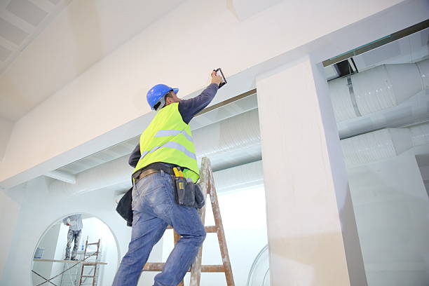 Best Mold Odor Removal Services  in Vernonia, OR